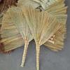 Natural Sorghum Bristle Broom