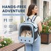 Fashion Transparent Visible Pet Carrier, Portable Large Capacity Breathable Handheld & Dual‑Shoulder Bag for Cats Small Dogs