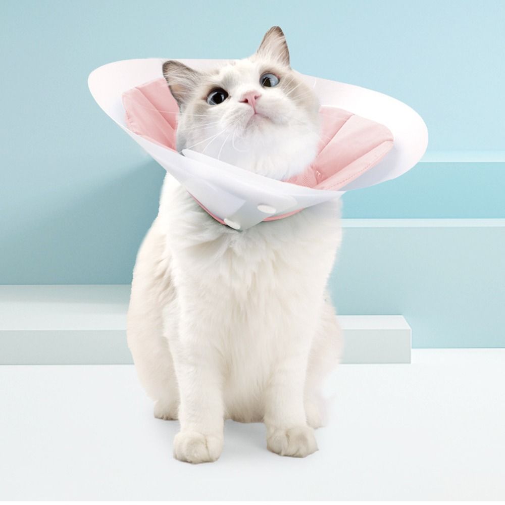 Anti-licking Cat Elizabeth Circle Double-layer PVC Wound Recovery Headband Pet Cone Collar  Beauty