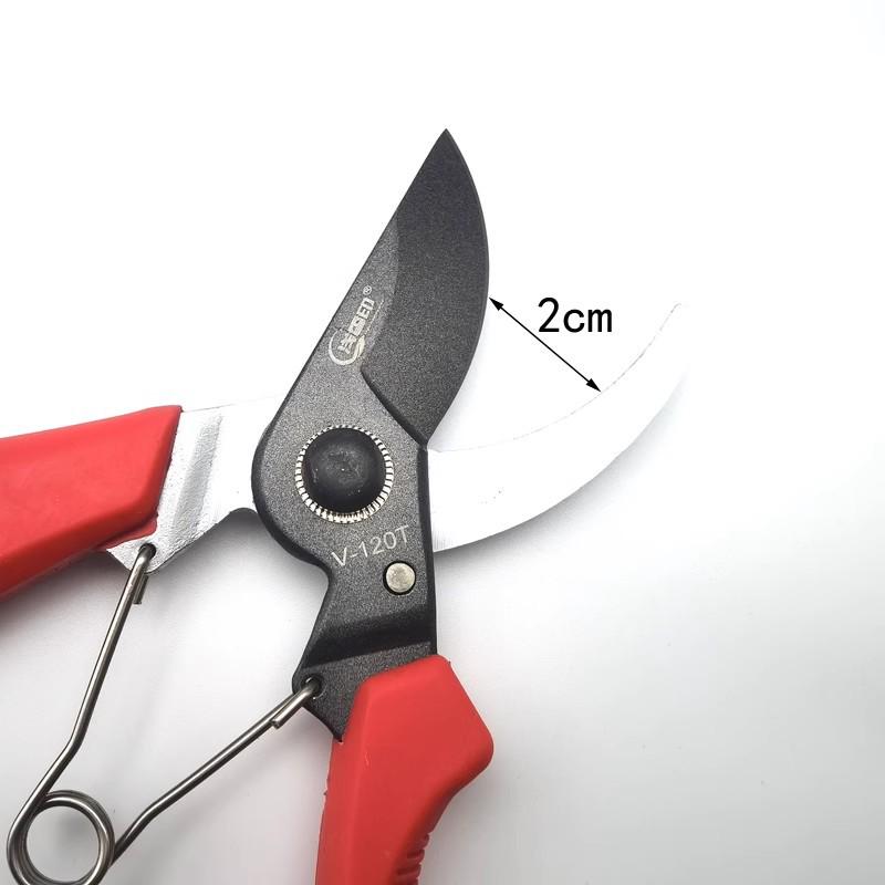 Asaka V-120T Pruning Shears for Gardening and Orchard Branches
