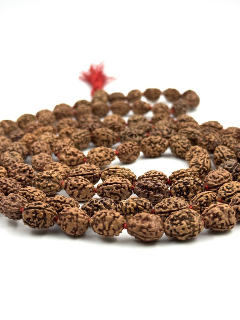 Natural 3 Mukhi Rudraksha Mala 108+1 Beads – Certified Authentic Nepali Prayer Beads for Meditation, Healing, and Spiritual
