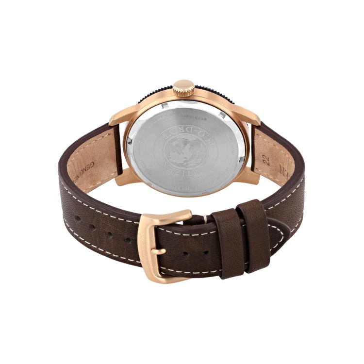 CITIZEN Men's Ecology Drive Collection Watch AW0079-13X