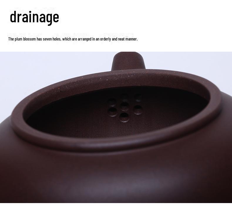 Handmade Yixing Purple Clay Teapot Set - Antique-Style Tangyu Side Handle
