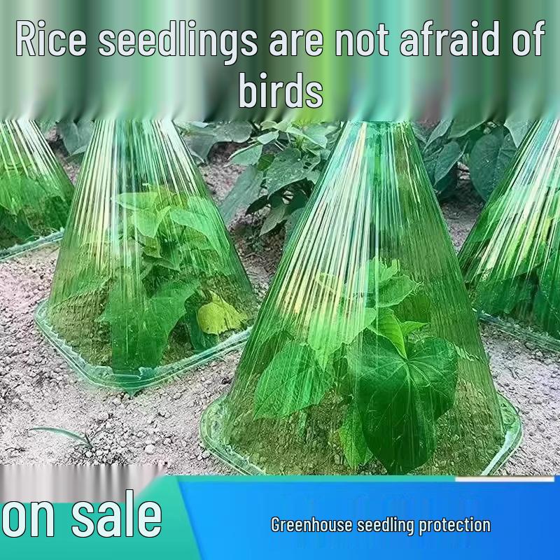 Transparent Cloche Seedling Cover for Insect, Bird, and Frost Protection in Green Vegetable Gardening