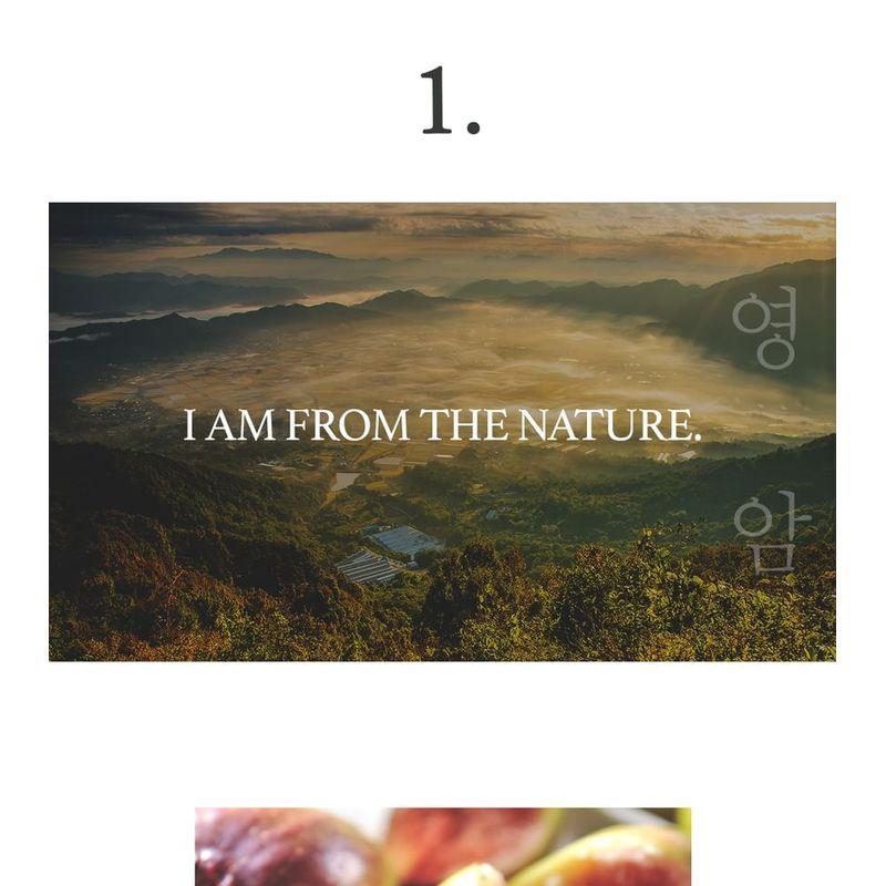 I'm from - Fig Scrub Mask Mini