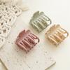 Matte Surface Earth Tone Hair Grip Minimalist Solid Color Multi Claws Design Professional Non Slip Holding Styling Fixer