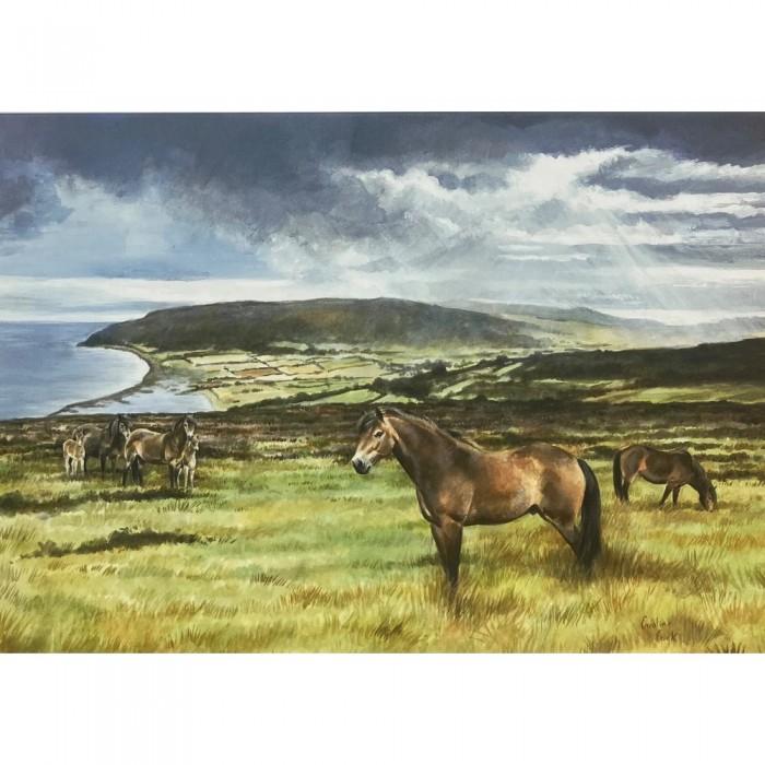 Caroline Cook Exmoor Ponies Greetings Card (Pack of 10)