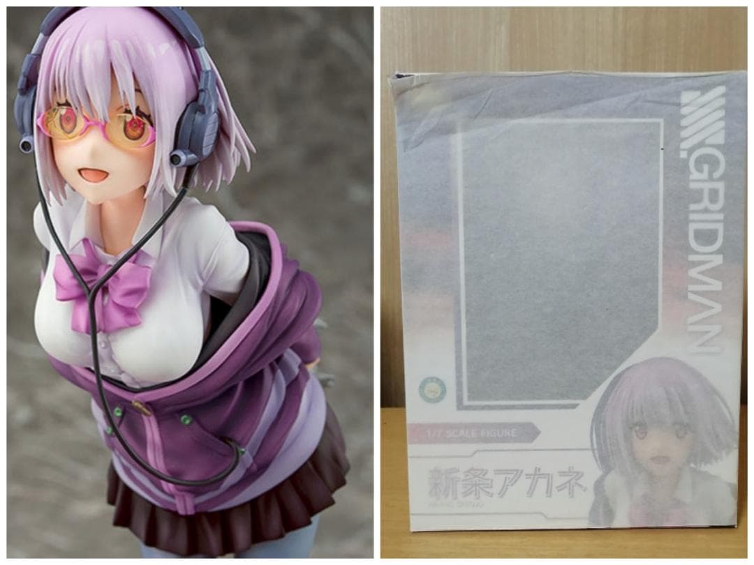 

[USED] Akane Shinjo Phat Company Figure