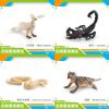 Vibrant Detailed And Plastic Forest Animal Models Featuring White Phoenix Scorpion Yellow Python Green Iguana And Horned Lizard