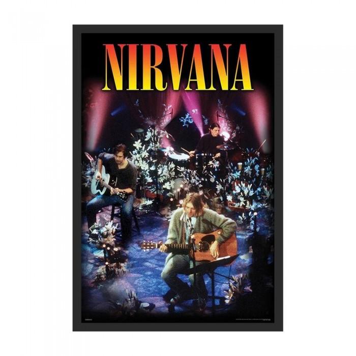 Nirvana Unplugged Framed Poster