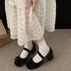 Fashion Women's Round Head Pink Thick Heel Mary Jane Shoes 2025 New Sweet Vintage Women's Bow Round Head Cute Designer Shoes Pink Heels