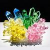 Crystal Planting DIY Scientific Experiment Set Chemical Experiment Educational Toy Handmade Toys Gift for Children Kid