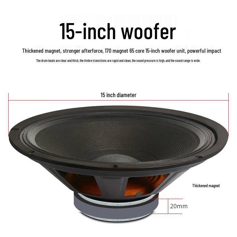 SHILE BX-115 15-inch Professional Multi-Scene Speaker CN Plug (adapter Included)