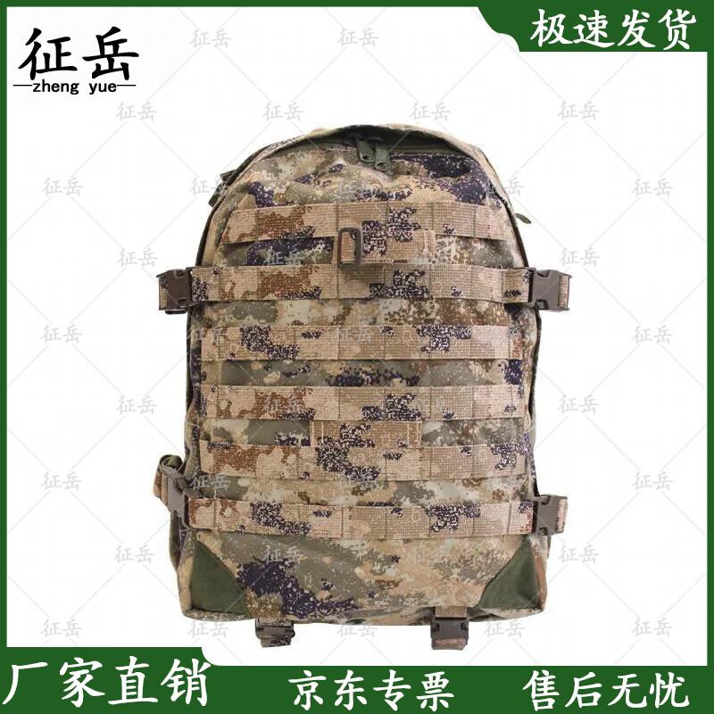 Zhengyue 06A Outdoor Training Backpack