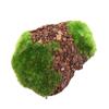 For Vase Glass Cylinder DIY Artificial Plant Moss Micro Landscap Fake Stone Rock Foam Moss Stone