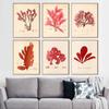 Nordic Retro Art Plant Evolution Popular Science Demonstration Canvas Painting Living Room Corridor Poster Home Decoration Mural No Frame