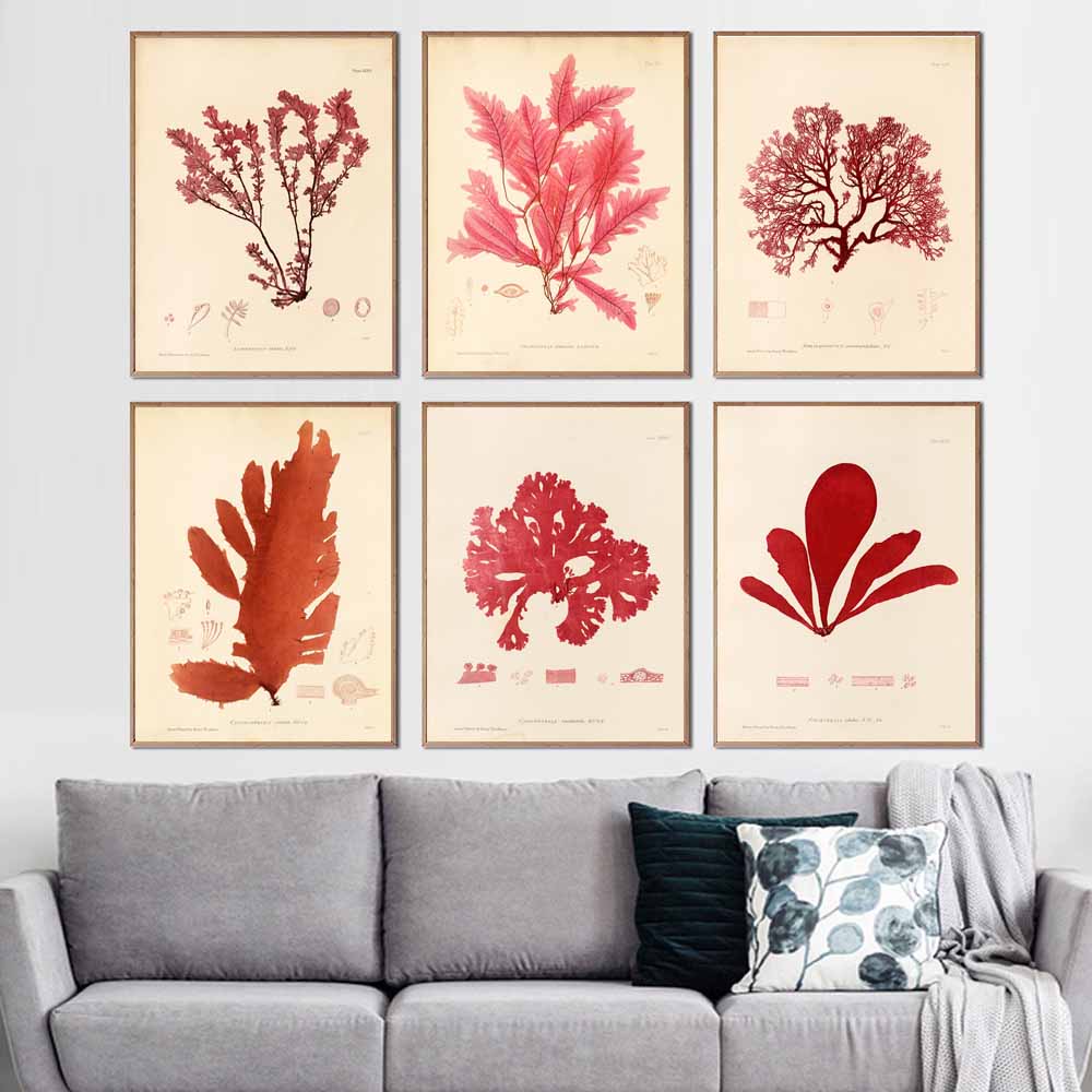 Nordic Retro Art Plant Evolution Popular Science Demonstration Canvas Painting Living Room Corridor Poster Home Decoration Mural No Frame