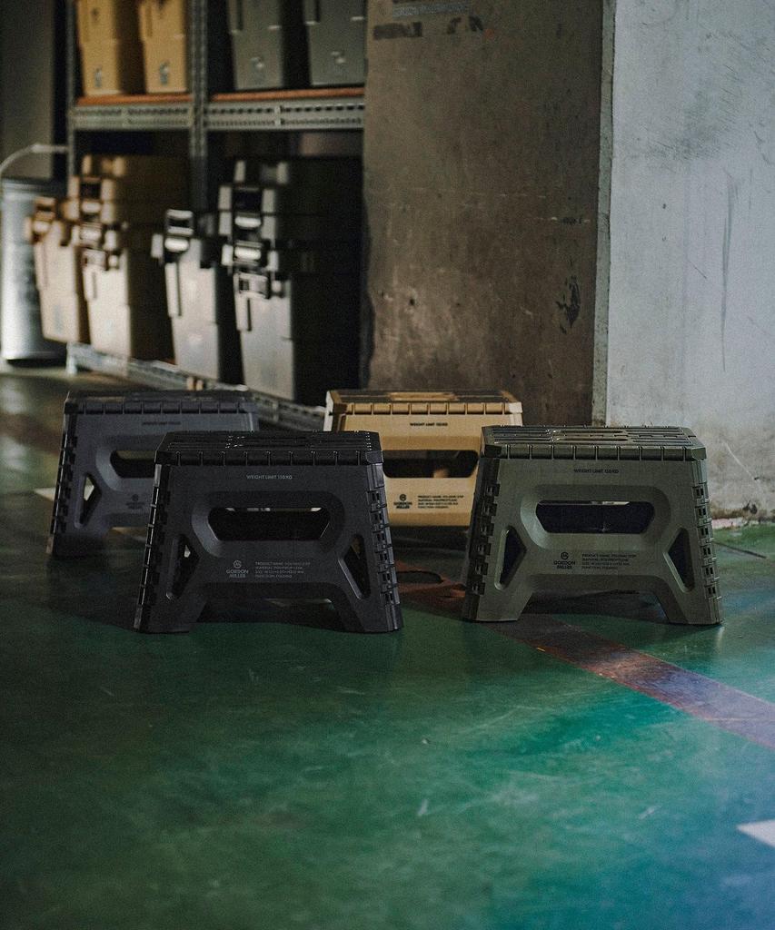 GORDON MILLER Folding Step Low, Folding Step Stool, Car Wash Platform, Outdoor Camping, Dark Gray