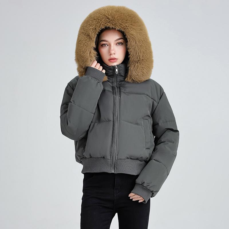 Hooded Fur Collar Cotton Clothes Women's Winter New Short Cotton-padded Clothes Bread Clothes Jacket