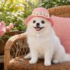 Yousheng Pet Straw Hat, Embroidered Floral Summer Cat Hat, Woven Scalloped Edge Pet Sun Hat with Adjustable Strap for Cats And Small Dogs