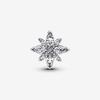 Pandora Sparkling North Star Charm 793591C01
