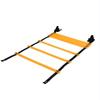 Agility Training Ladder