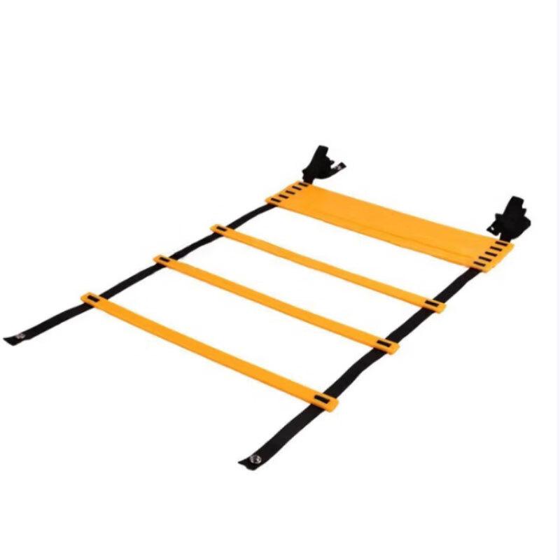 Agility Training Ladder