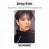 Stray Kids : The dominATE Experience Official Photocard