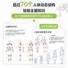 Human Anatomy For Artists Human Body Structure Principle and Painting Teaching Self-study Textbook  Art Collection