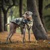 S-5XL Pet Dog Jacket with Harness Winter Warm Dog Vest Clothes Outdoor Waterproof Dog Coat for Small Medium Large Dogs