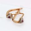 Fashionable Red Love Earings Exquisite Punk Style Rose Golden Heart earrings for women Banquet Party Zircon