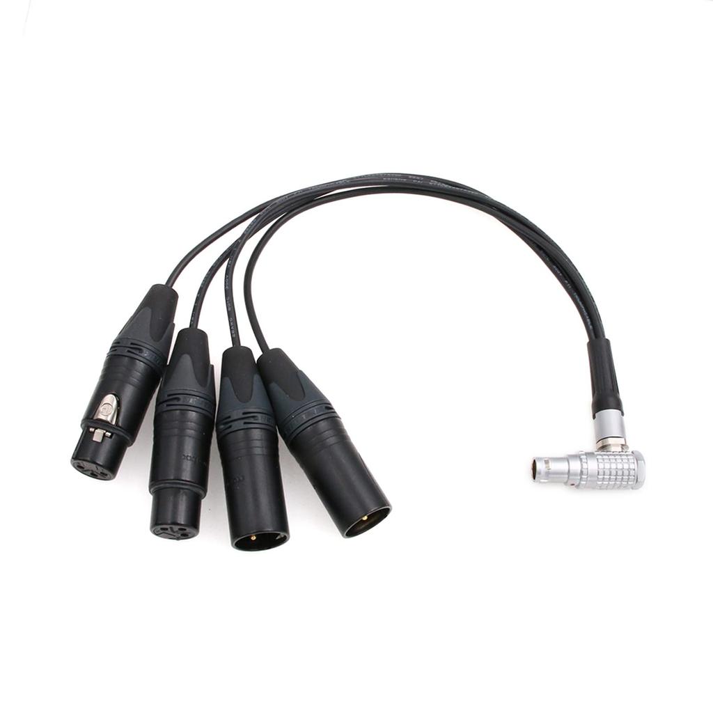 Eonvic zu XLRAtomos Breakout Audiokabel für Shogun Monitor-Recorder Winkel 10-Pin 2x3-Pin Ein-/Ausgang (Rechter 10-Pin)