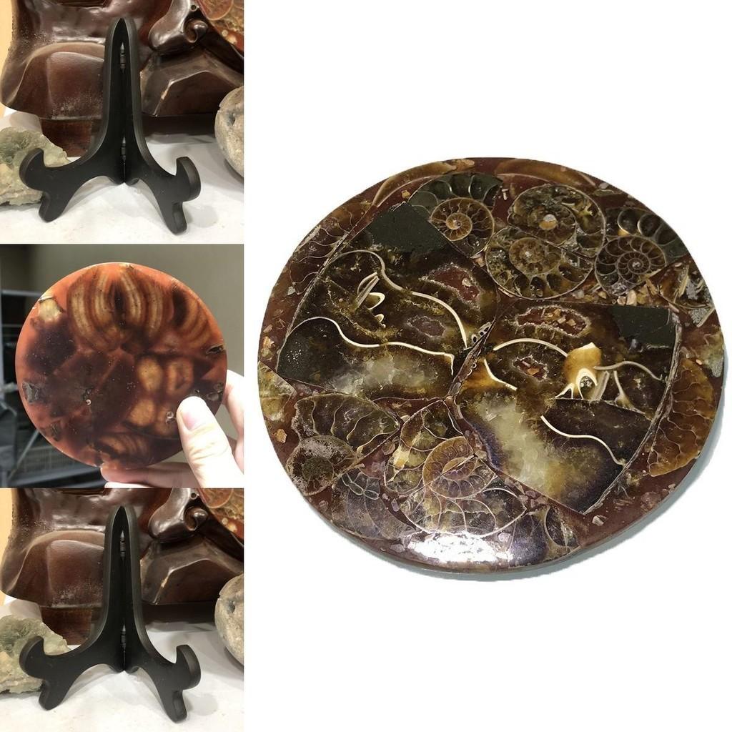 Exquisite 1pc Natural Ammonite Fossil Quartz Crystal Disk Shell Plate Conch Stand