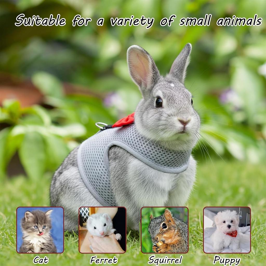 2 Set of Bunny Harness and Leash,Adjustable Bunny Leash for Small Pets. This Complete Rabbit Harness and Leash Set Features Soft Mesh Vests for Safe