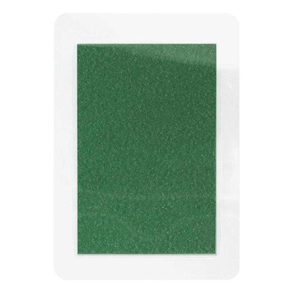 Magnetic Field Indicator for Research and Learning 253050mm Card Detector