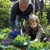 Vegetable Protection Cover Plant Shield With Pest Prevention For Garden Use