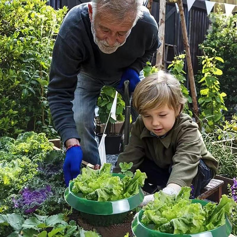 Vegetable Protection Cover Plant Shield With Pest Prevention For Garden Use