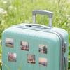63 European Pink Monet-Style Waterproof Graffiti Stickers for Suitcases, Water Bottles, and DIY Journals