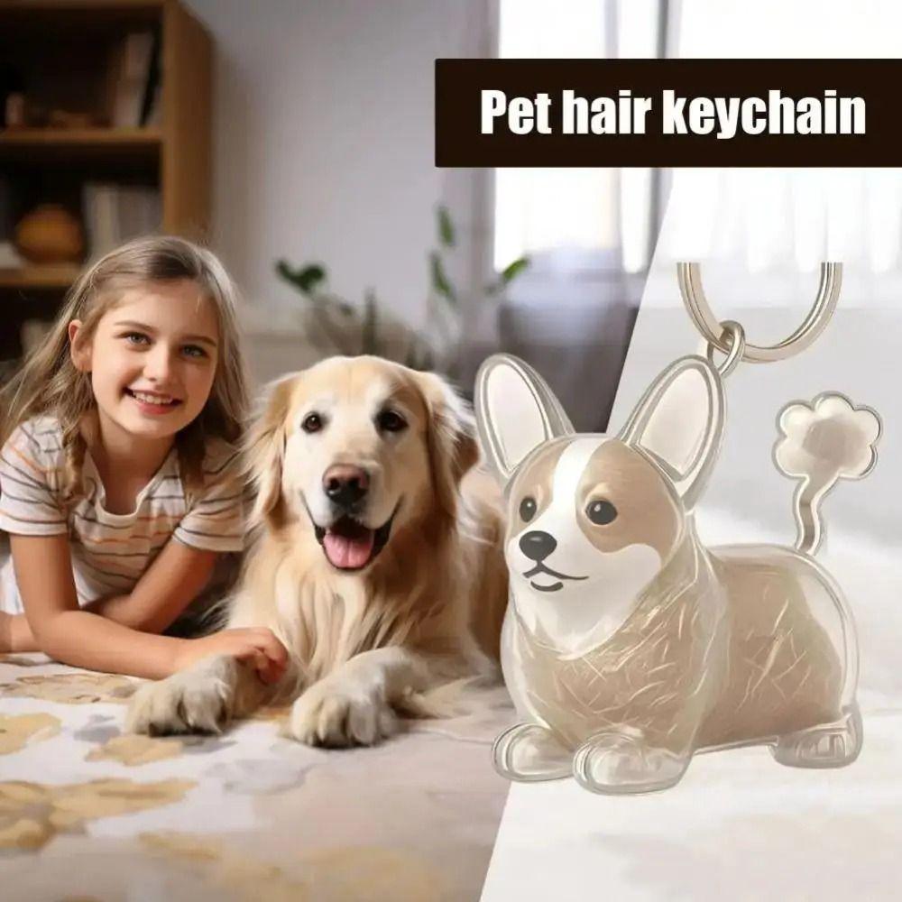 Transparent Dog Hair Storage Box Hair Grooming Puppy Pendants Pet Hair Keychain  Jewelry Gift
