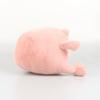 Ricky Rain Frog Cartoon Frog Doll Multi Color Pillow Soft Plush Toy Solitary