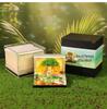 Flower Sea Tree Island Adventure Tree House with Lights: 3D Paper Art Calendar Gift and Romantic Decor Piece