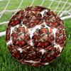 1pc Germany Football Emblem Quality Football,Standard Size 5 Suitable for Adults,Students,And Teenagers for Training And CompetitionYUG32