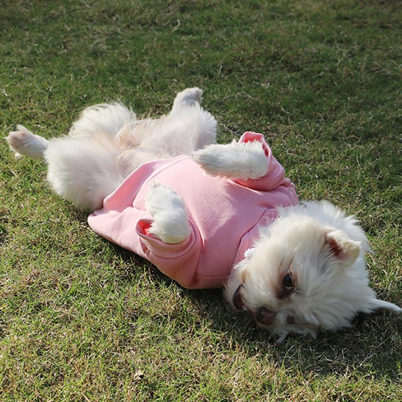 Polarowa bluza z kapturem dla psa, dwunożny pulower, sweter dla zwierzęcia, ciepłe ubranka dla szczeniaka, strój dla małego psa, przytulna odzież dla zwierzęcia, kurtka z kapturem dla zwierzęcia wielokrotnego użytku