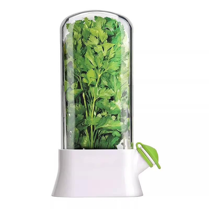Creative Anti-Crush Fresh-Keeping Box for Vegetables & Cilantro