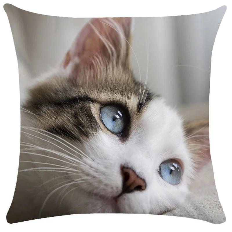 

Home Decor Cute Kitten Patterns Throw Pillow Covers Pattern Cushion Cover Suitable for Sofa Bedroom Car Pillow Cover 40cmx40cm
