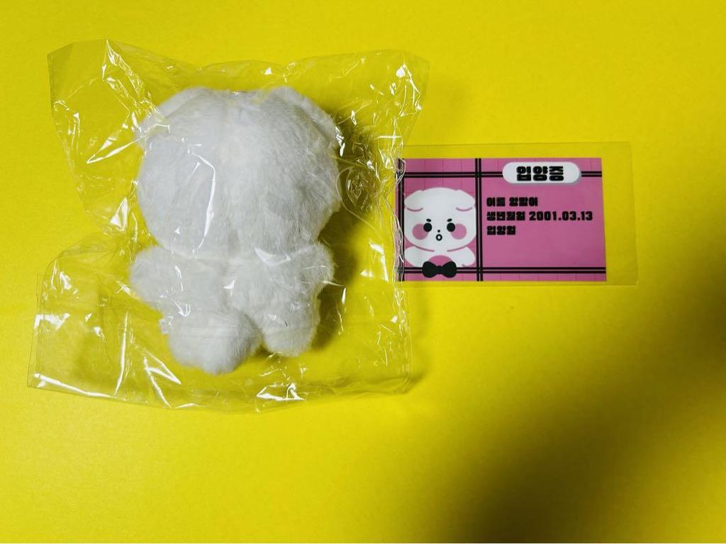 [USED] TXT Beomgyu Masternim Plush Toy 11cm