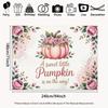 2D Floral Pumpkin Baby Shower Backdrop, Watercolor Pink Rose Pumpkin Party