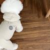 Pet Four-legged Cotton Coat British Style Dog Clothes Autumn And Winter Clothing Teddy Bichon Pomeranian Yorkshire Terrier Small Dog Winter