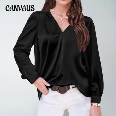 Plus Size Women's Pleated Long Sleeve V Neck Casual Loose Commuter Top