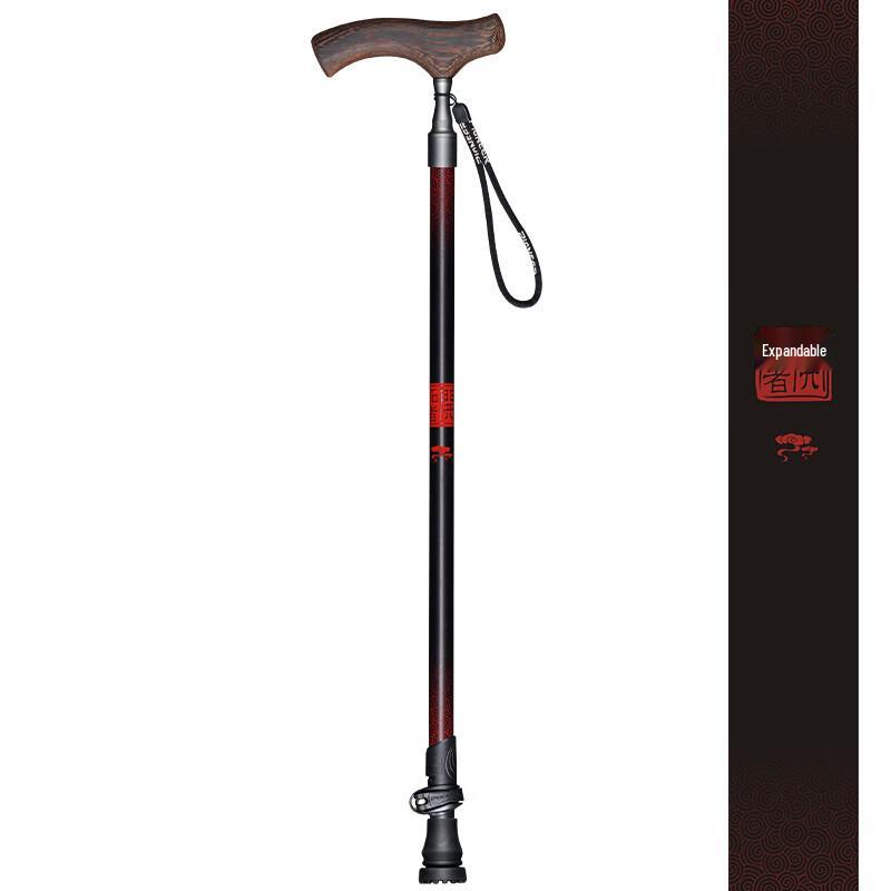 Pioneer Retractable Trekking Pole